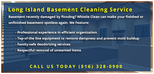 Whistle Clean Basement Cleaning