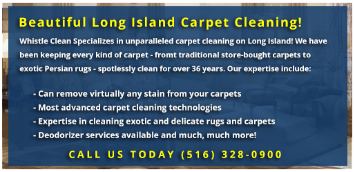 Whistle Clean Carpet Cleaning