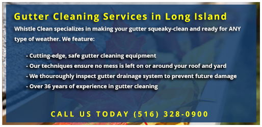 Whistle Clean Gutter Cleaning