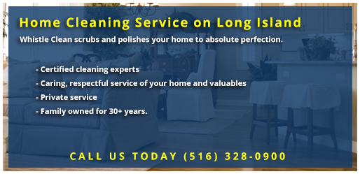 Whistle Clean home Cleaning