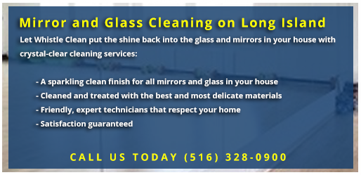 Whistle Clean Mirror and Glass Cleaning